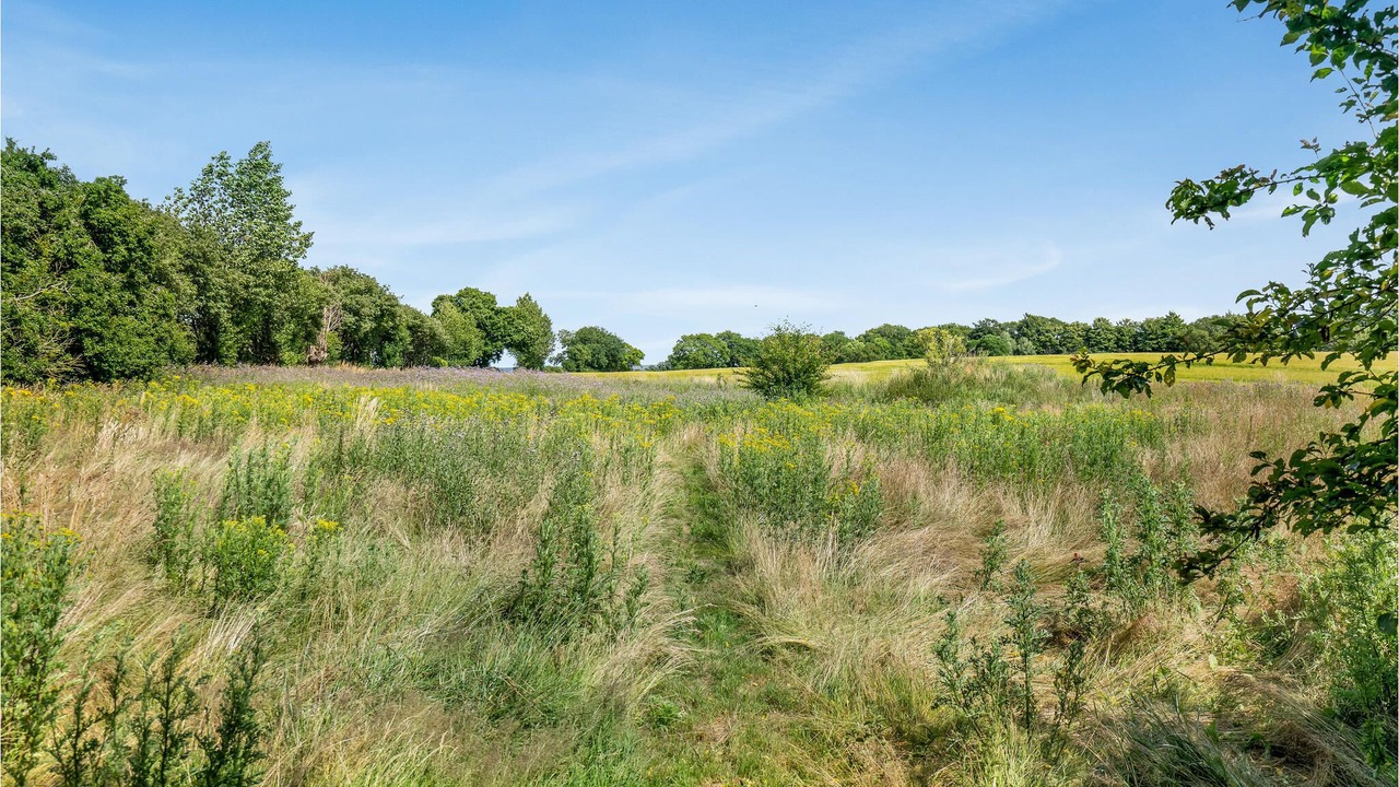 Photo of Outdoor in Dalby