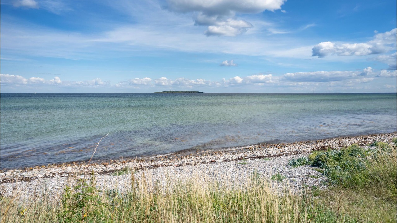 Photo of Others in Dalby