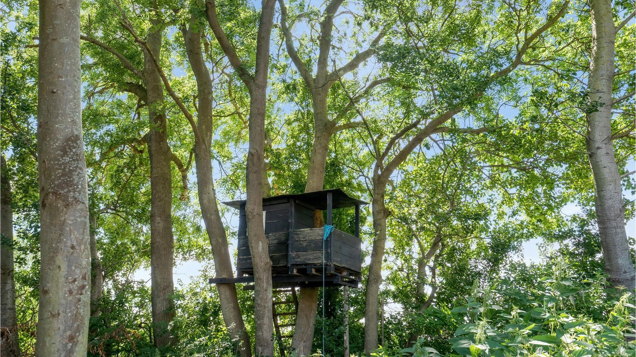 Photo of Outdoor in Dalby