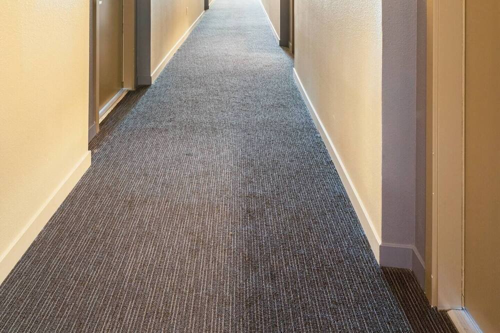 Photo of Others in Northwest Bellevue