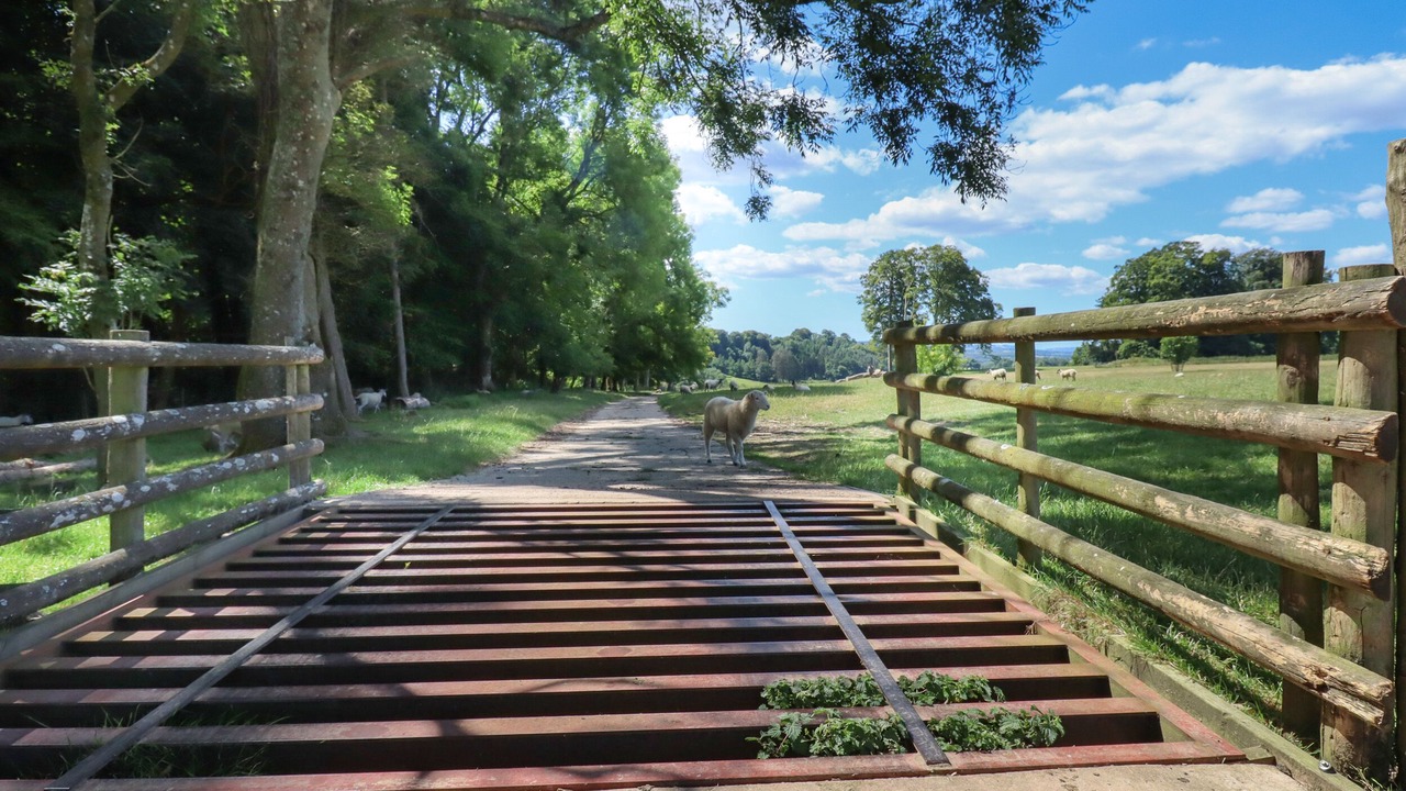 Photo of Others in Eleighwater