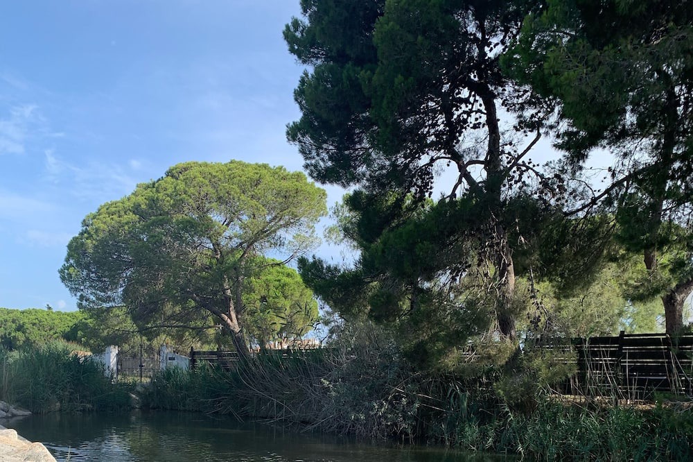 Photo of Others in Saintes-Maries-de-la-Mer