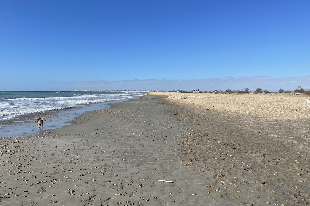 Photo of Others in Saintes-Maries-de-la-Mer
