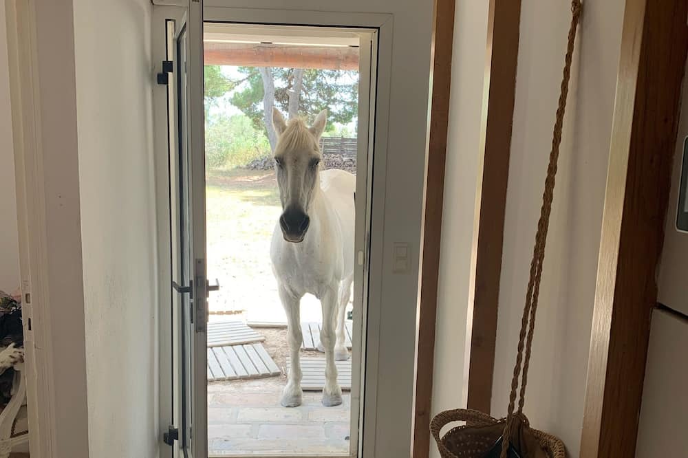 Photo of Others in Saintes-Maries-de-la-Mer