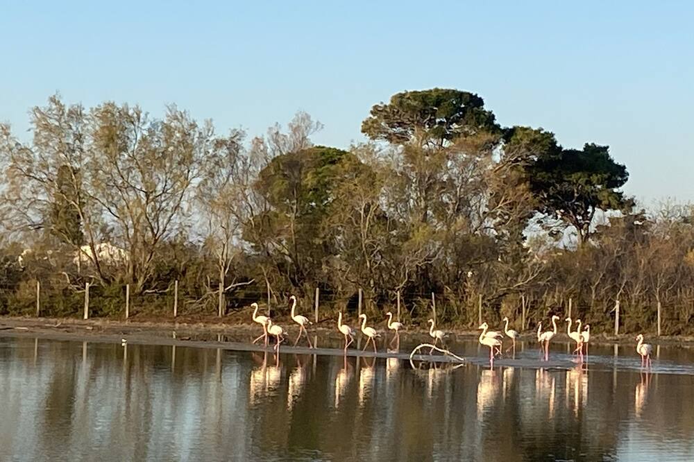 Photo of Outdoor in Saintes-Maries-de-la-Mer
