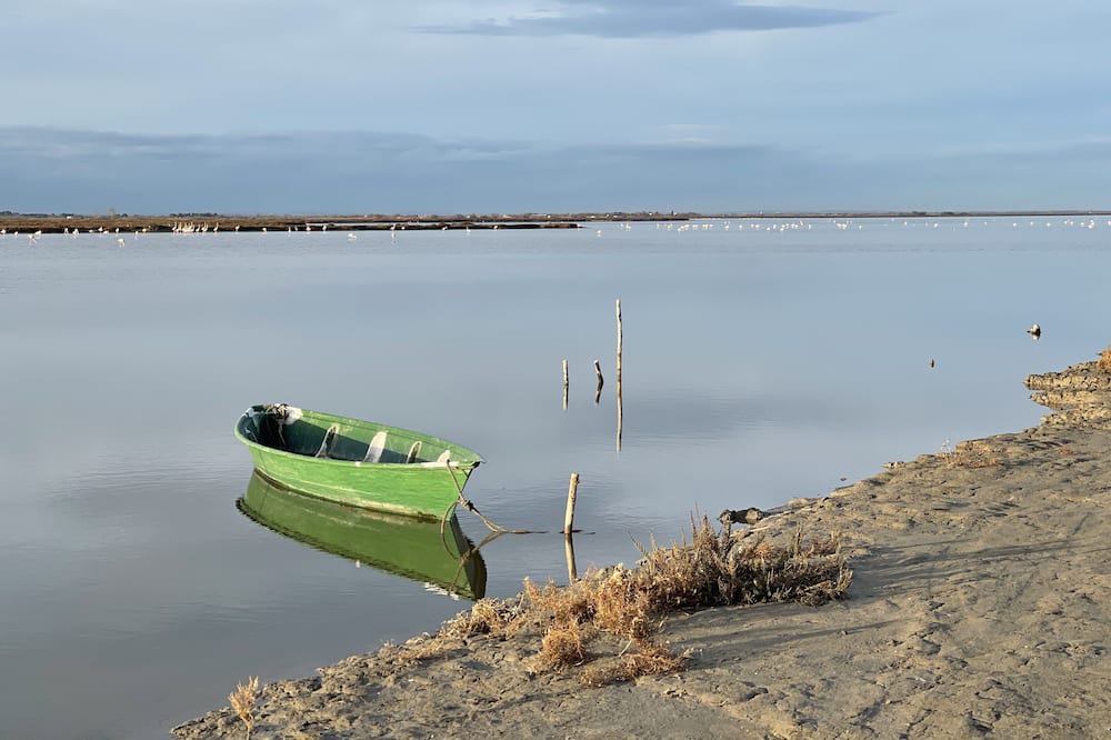 Photo of Others in Saintes-Maries-de-la-Mer