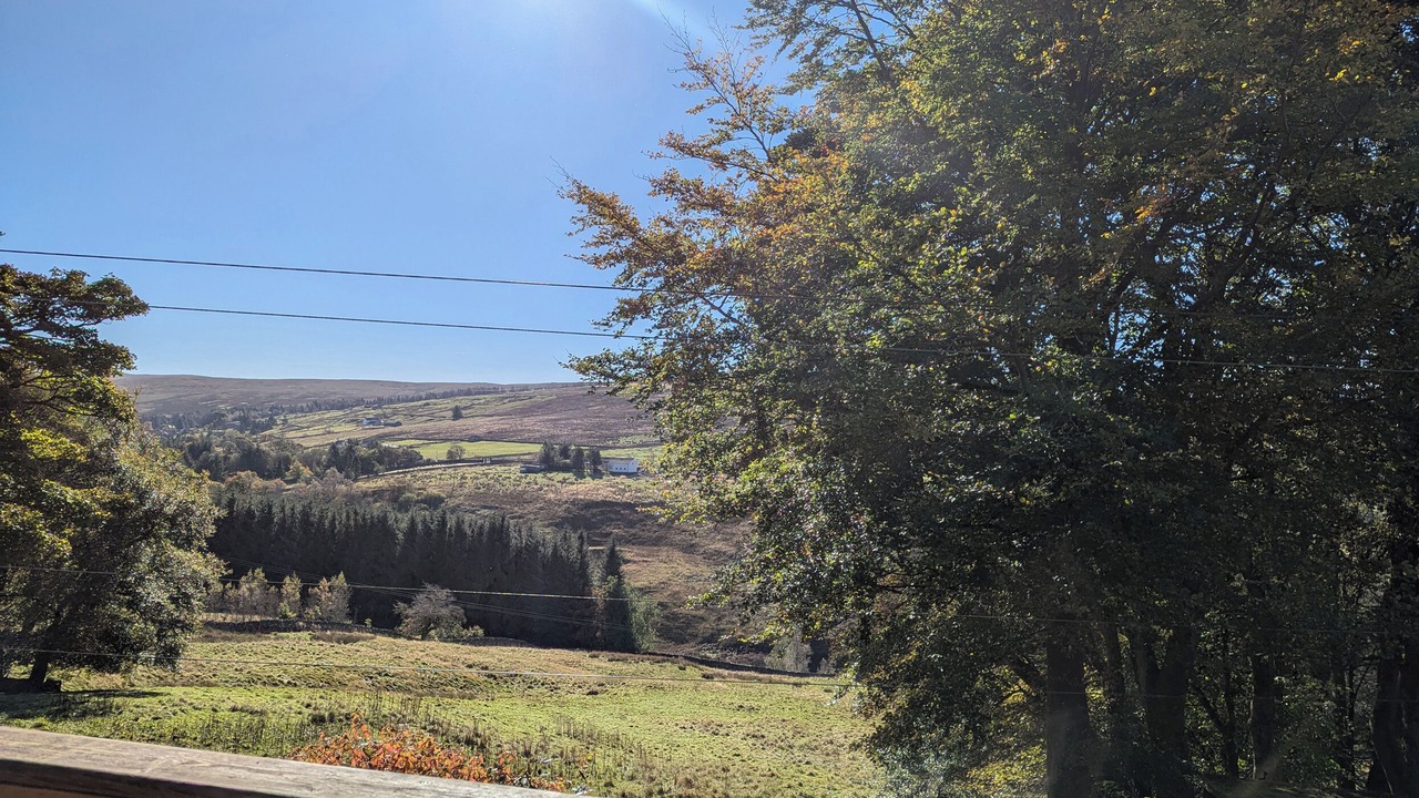 Photo of Others in Alston