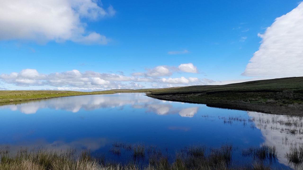 Photo of Others in Alston