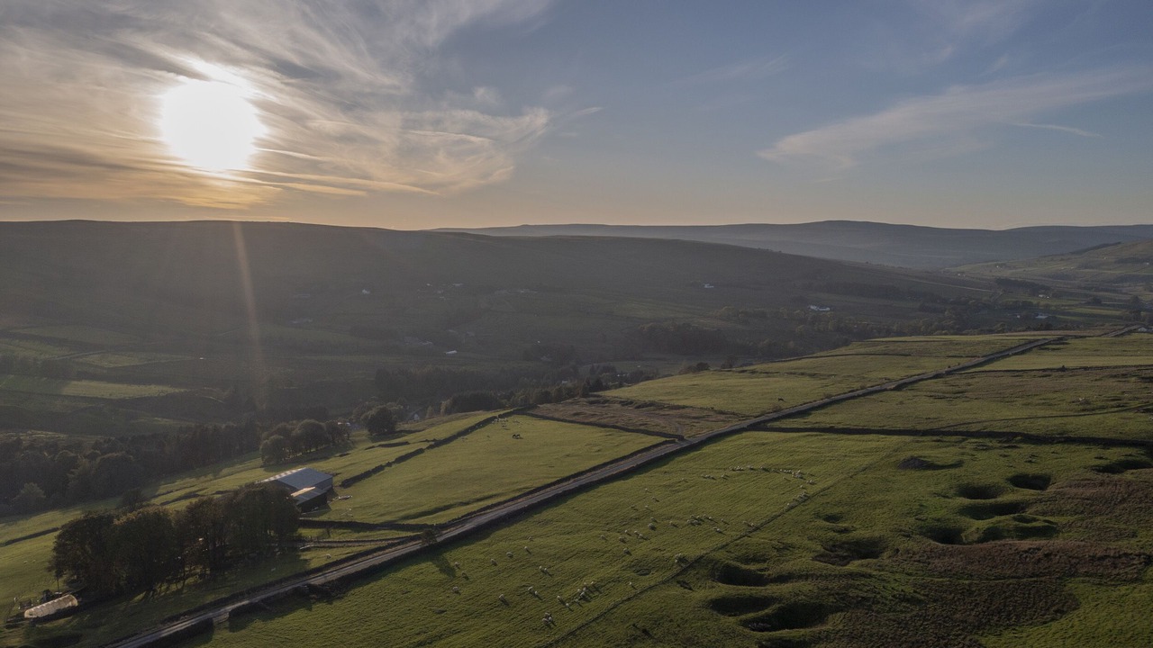 Photo of Others in Alston