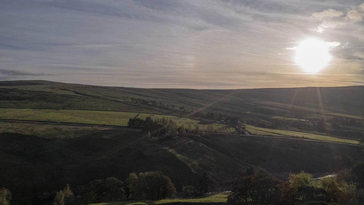 Photo of Others in Alston