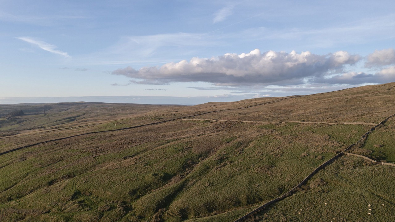 Photo of Others in Alston