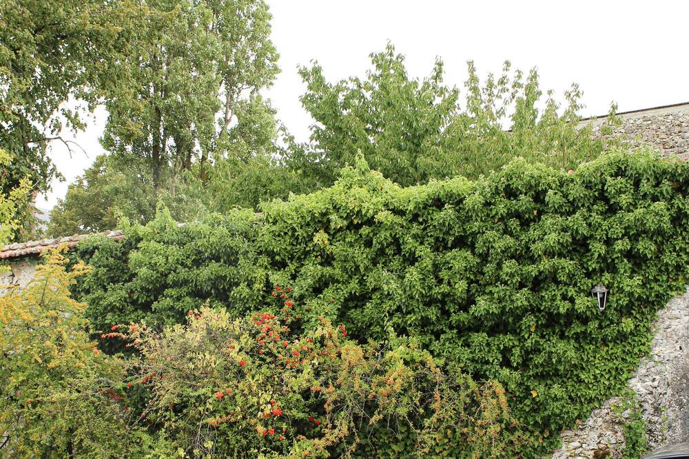 Photo of Others in Rilly-la-Montagne