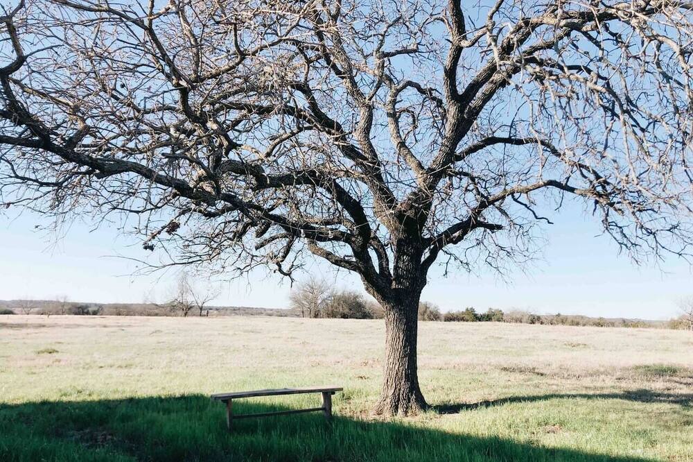 Photo of Others in Rosston