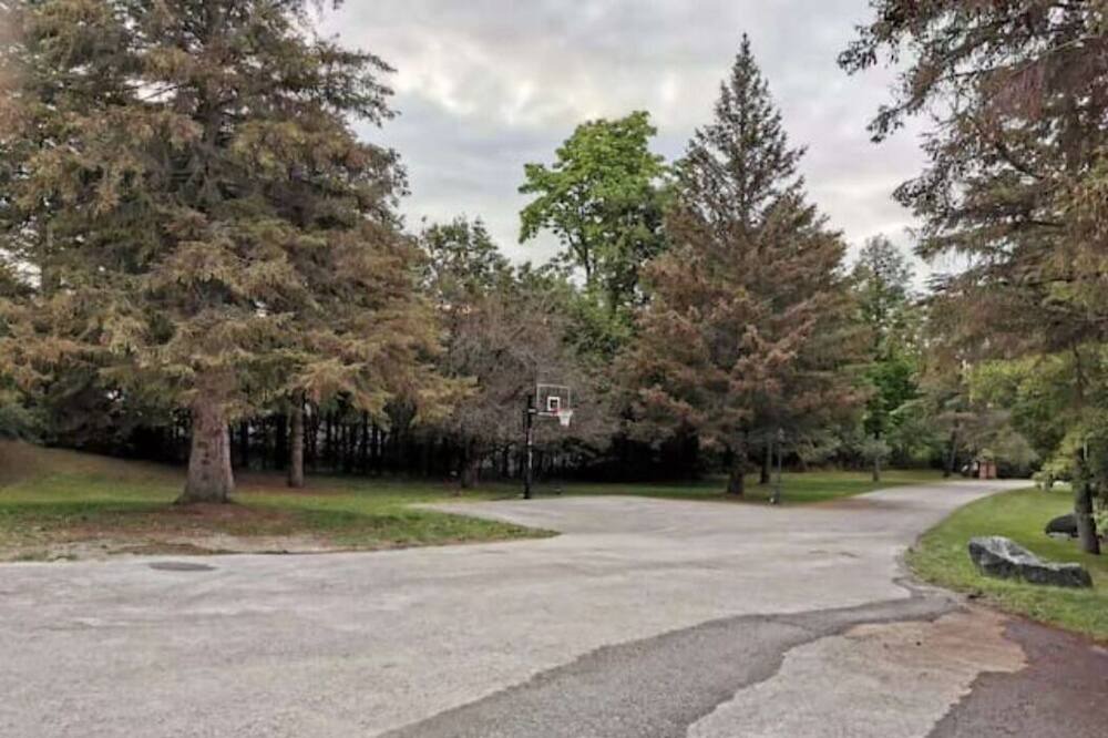 Photo of Outdoor in King