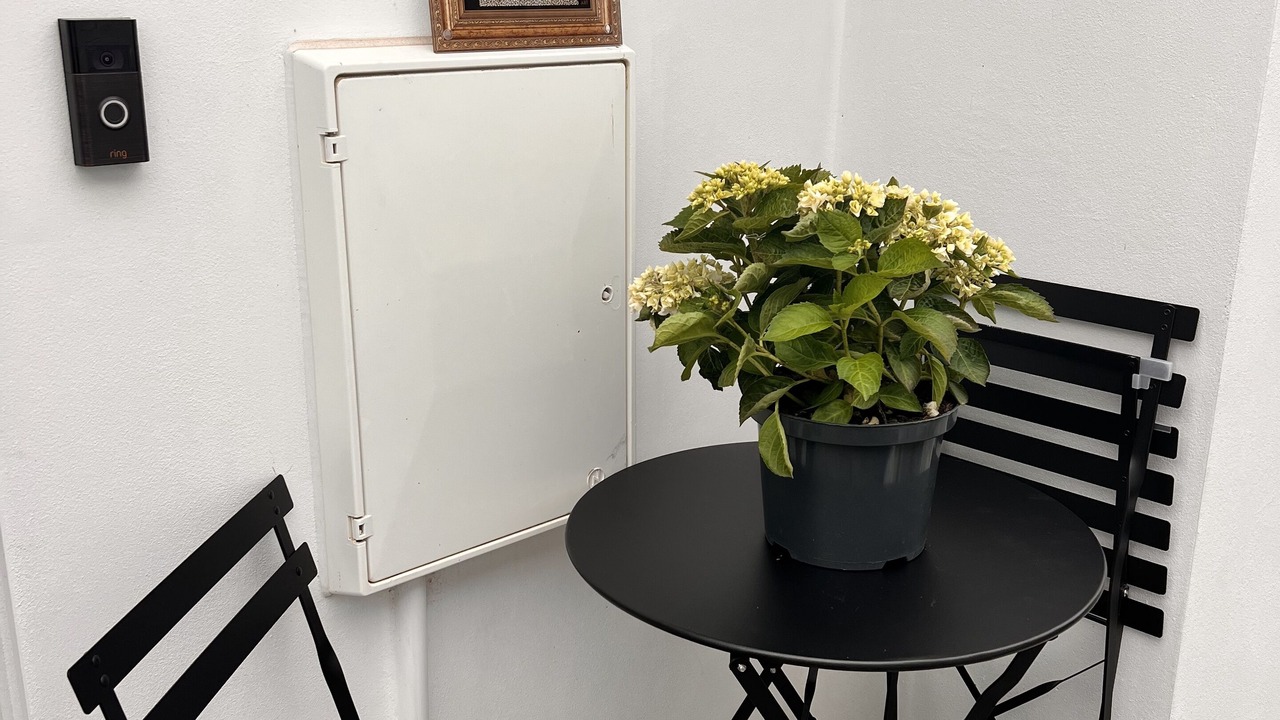 Photo of Others in Marshborough