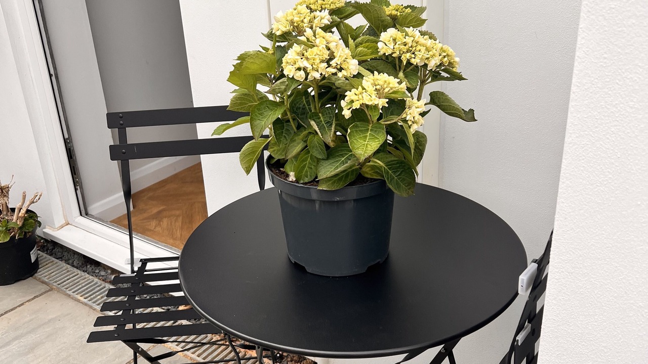 Photo of Others in Marshborough