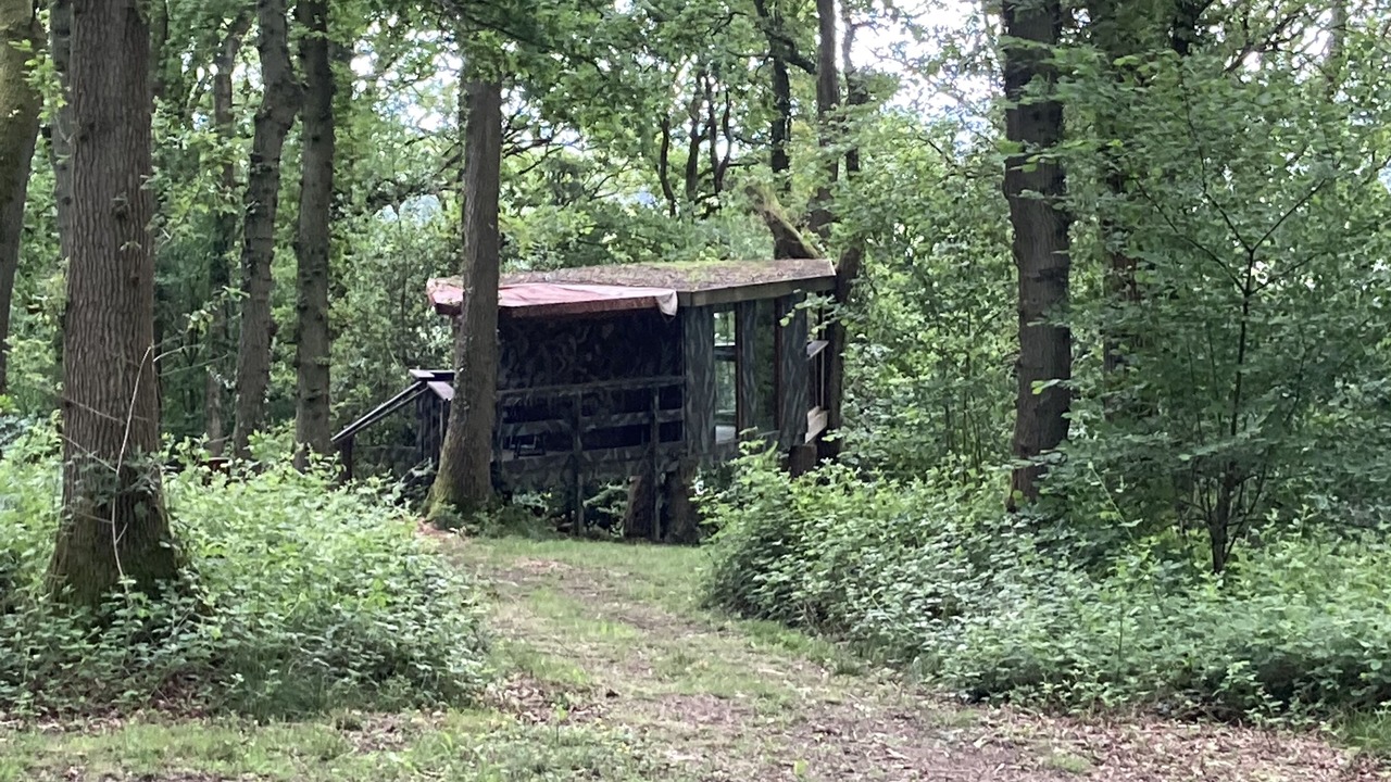 Photo of Others in Longhope