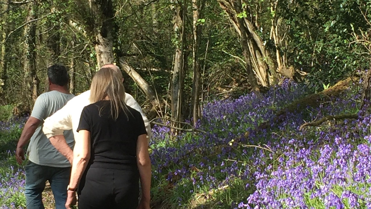 Photo of Others in Longhope