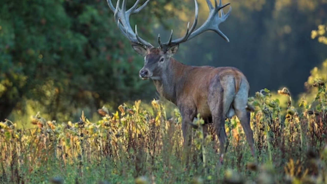 Photo of Others in Longhope