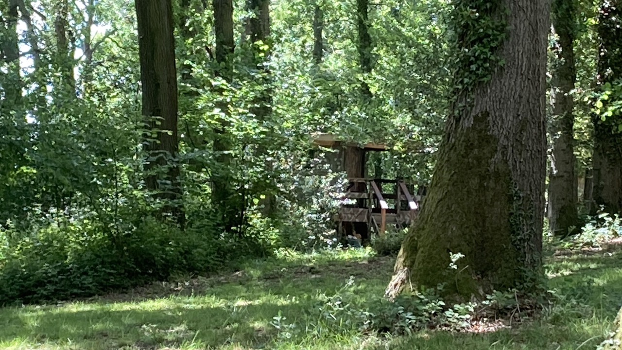 Photo of Others in Longhope