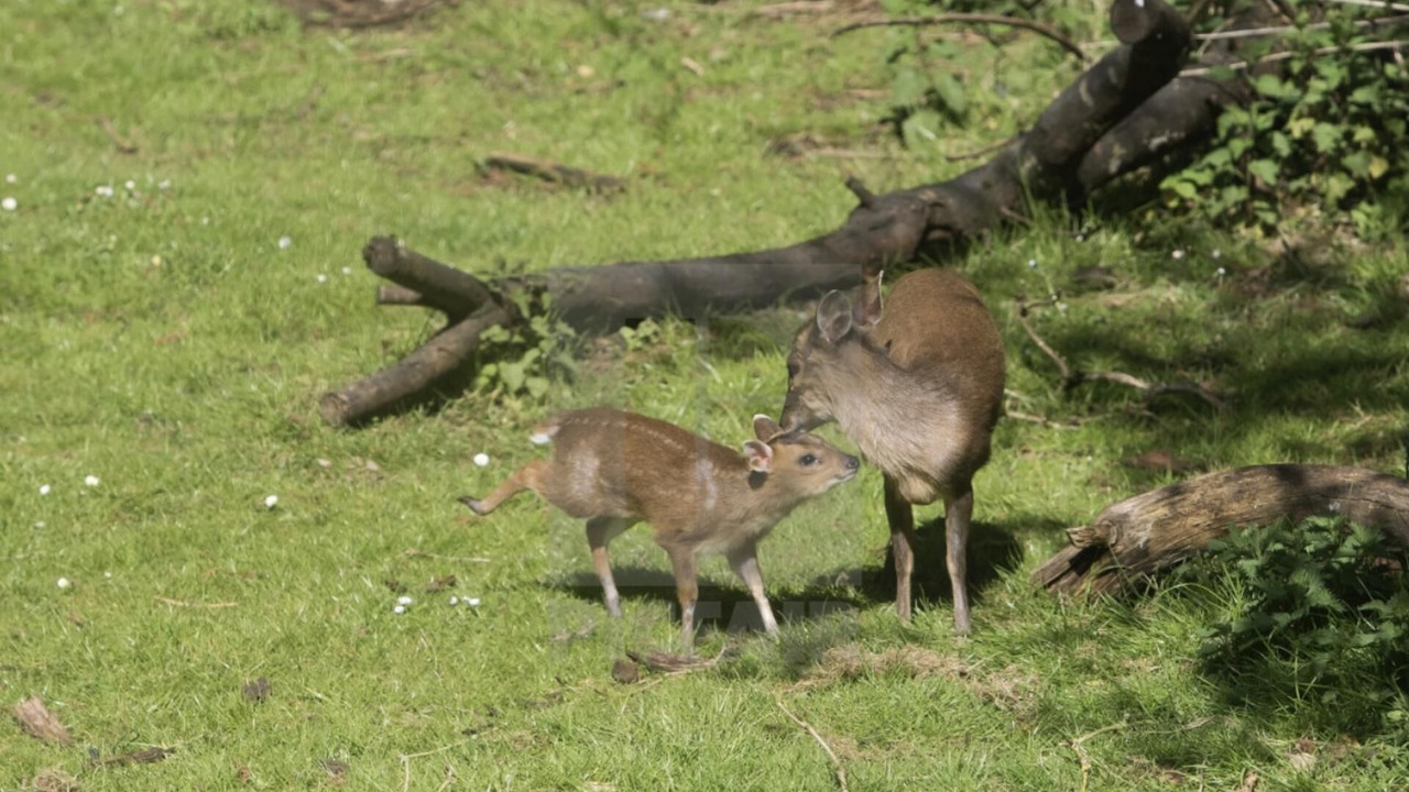 Photo of Others in Longhope