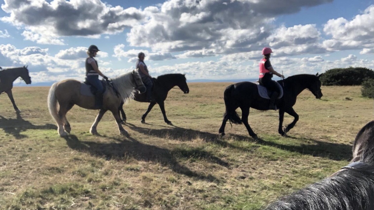 Photo of Others in Longhope