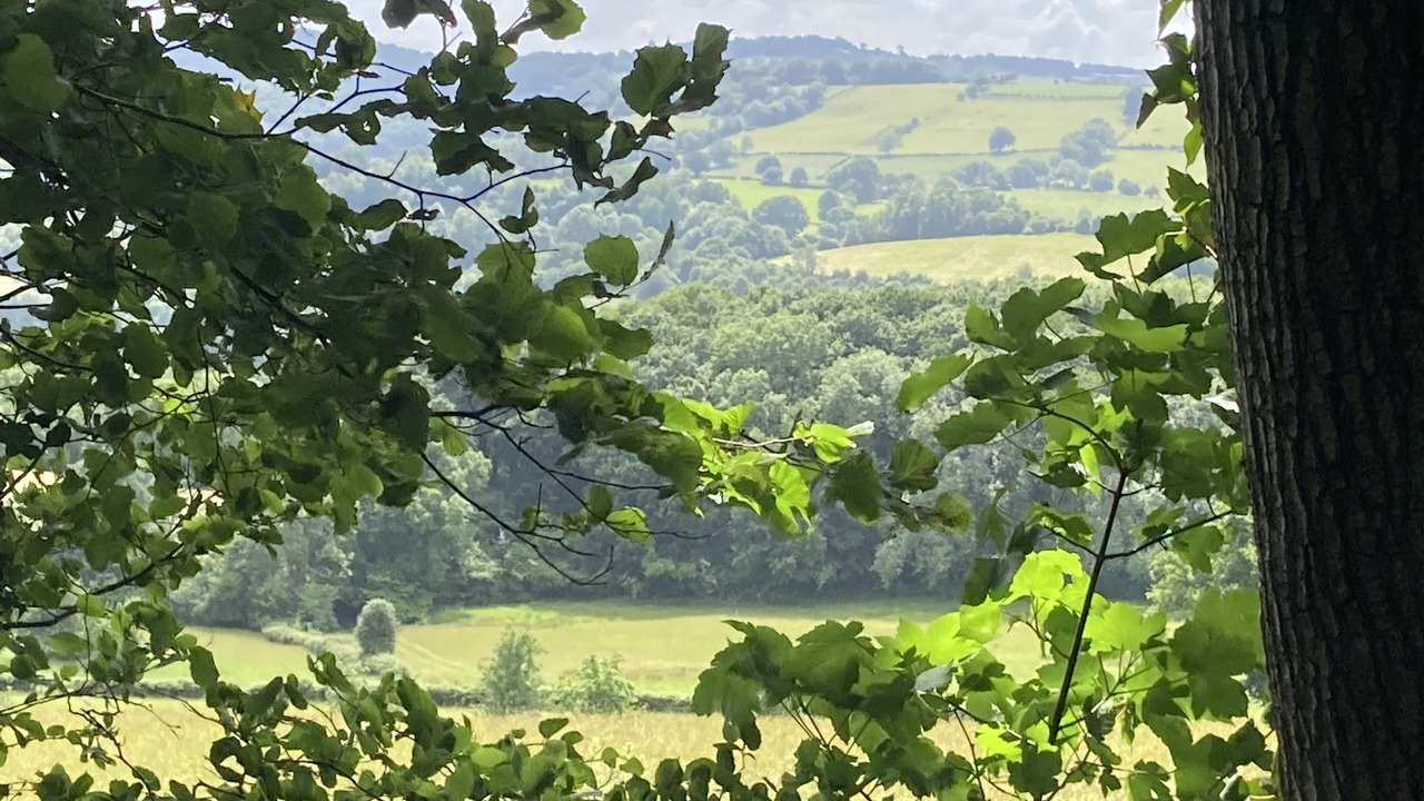 Photo of Others in Longhope