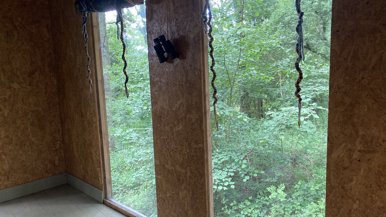 Photo of Others in Longhope