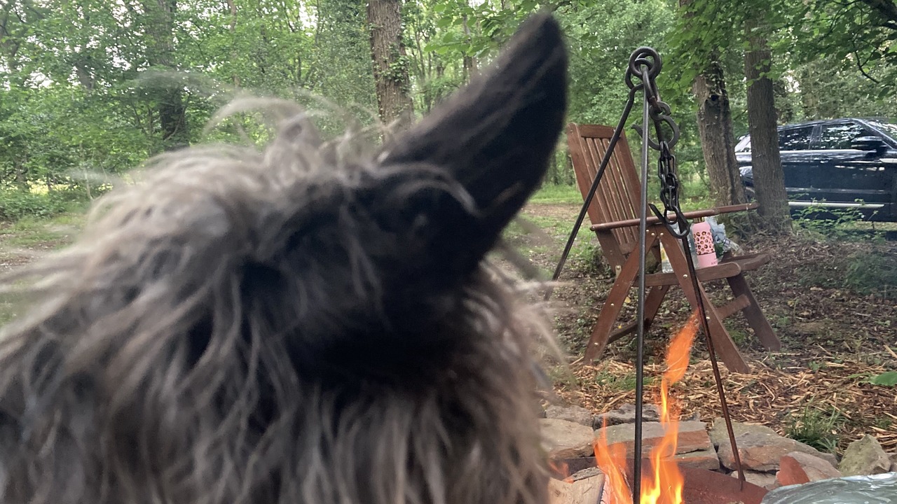 Photo of Others in Longhope