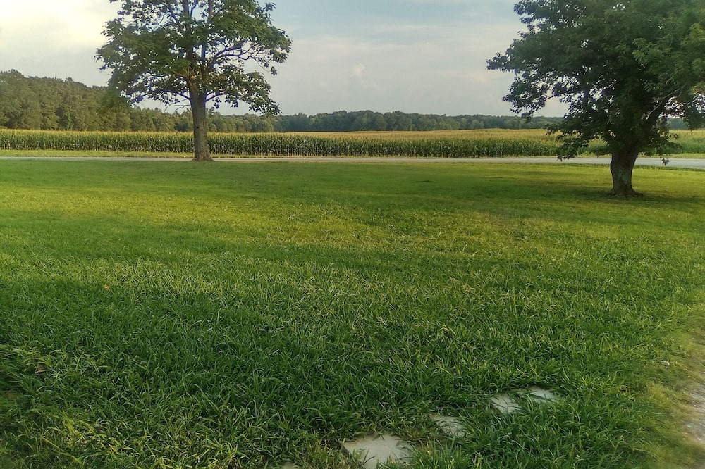 Photo of Others in Como