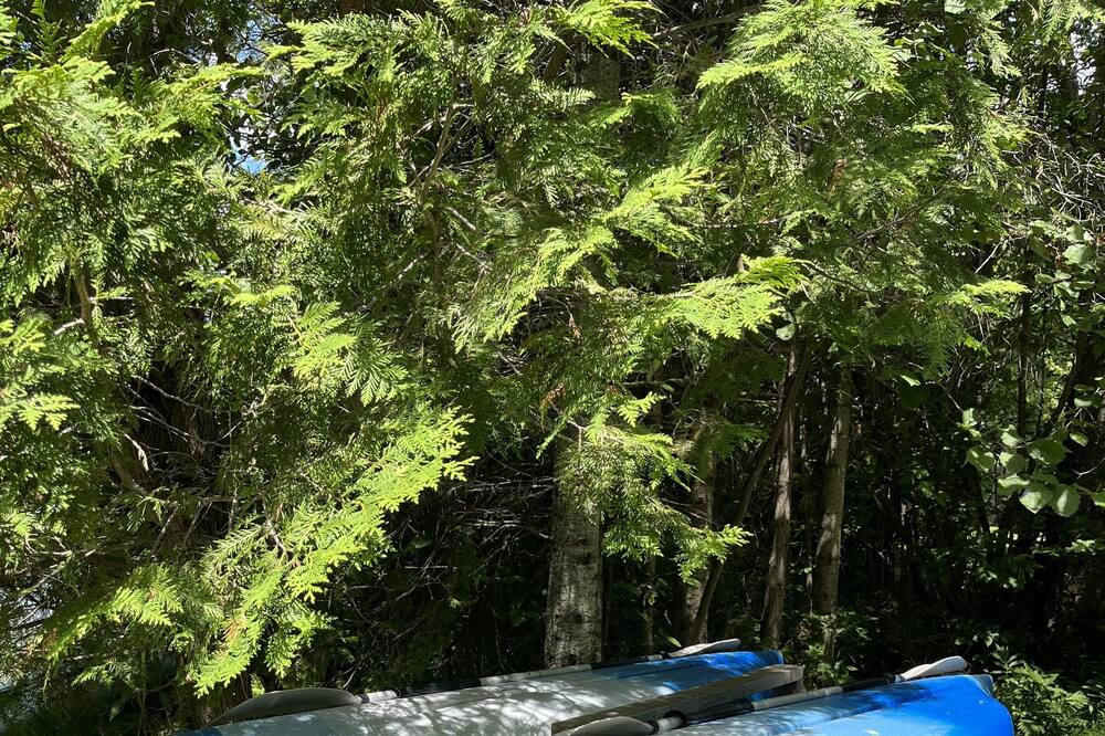Photo of Outdoor in Cayamant