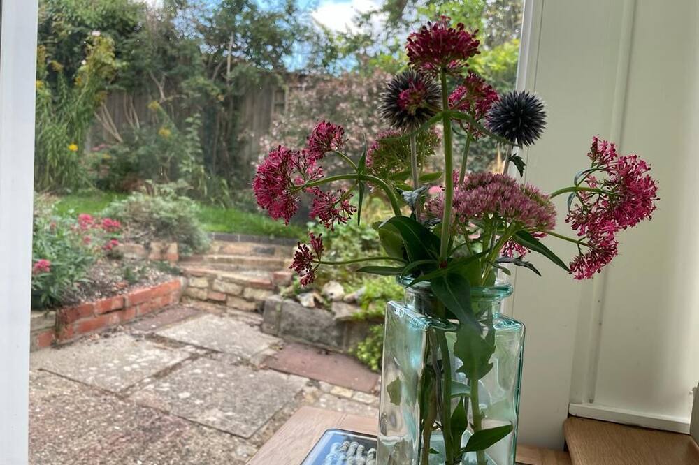 Photo of Others in Linton