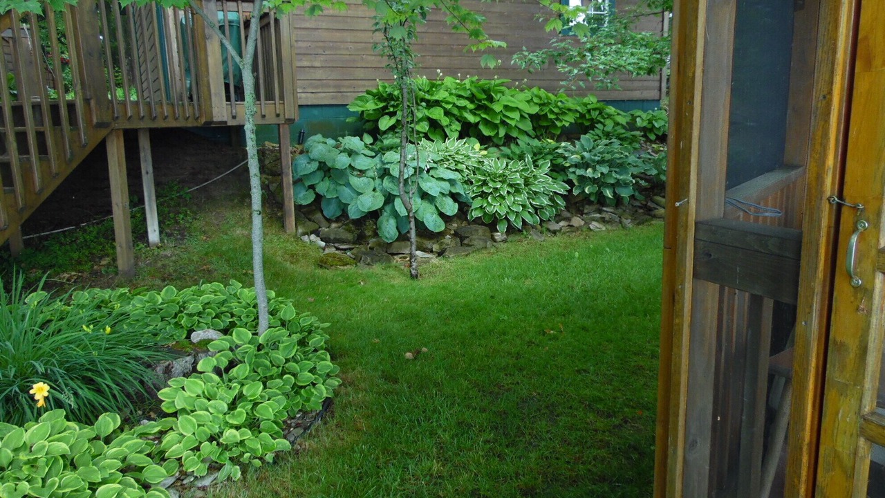 Photo of Outdoor in East Tawas