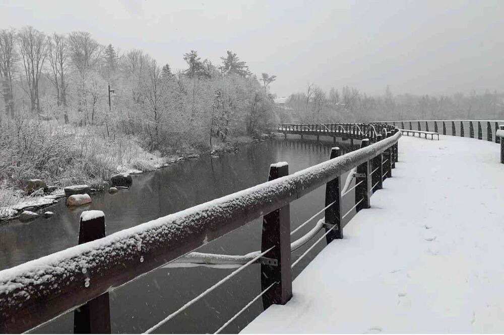 Photo of Others in Richmond Hill