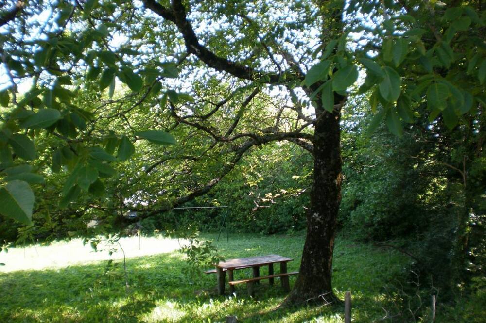 Photo of Outdoor in Lacombe