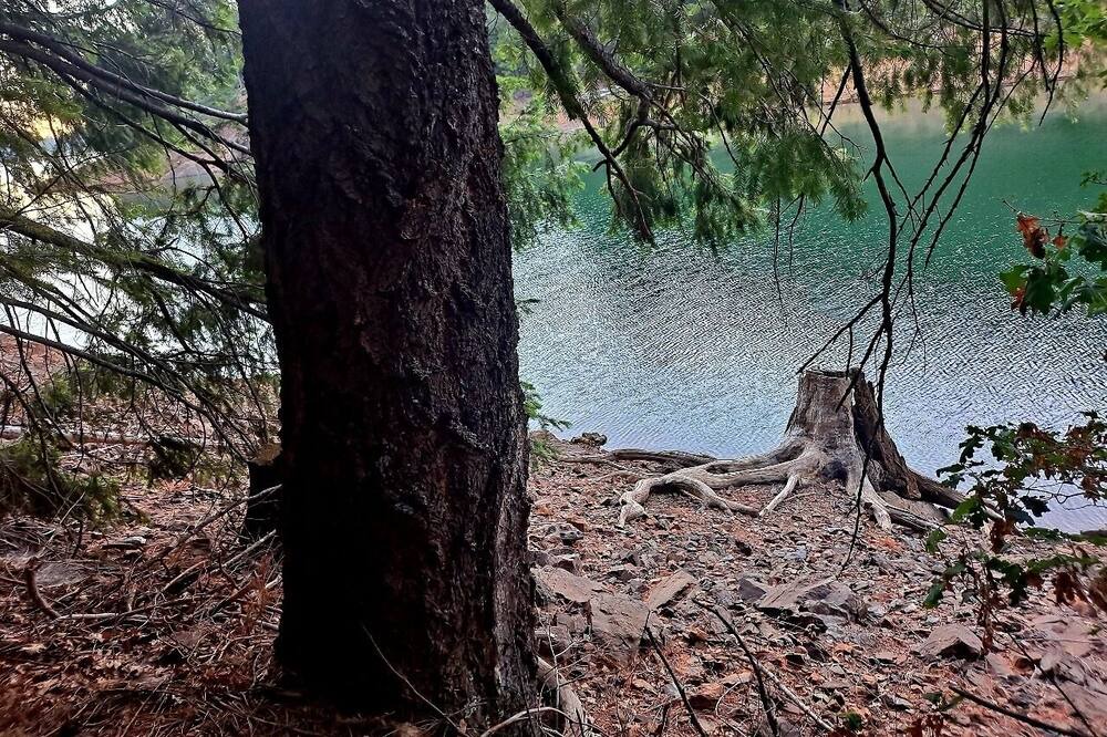 Photo of Others in Pollock Pines