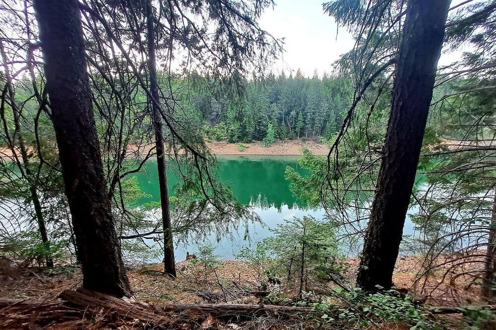 Photo of Outdoor in Pollock Pines