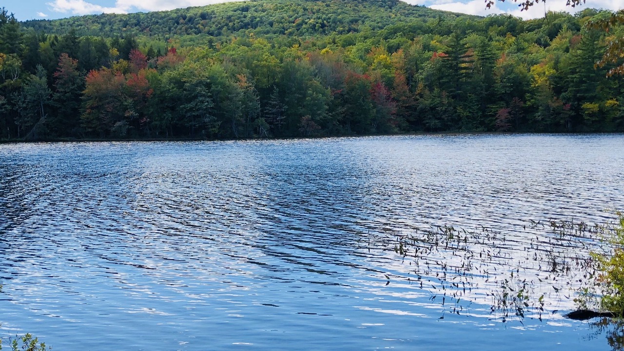 Photo of Outdoor in Buckfield