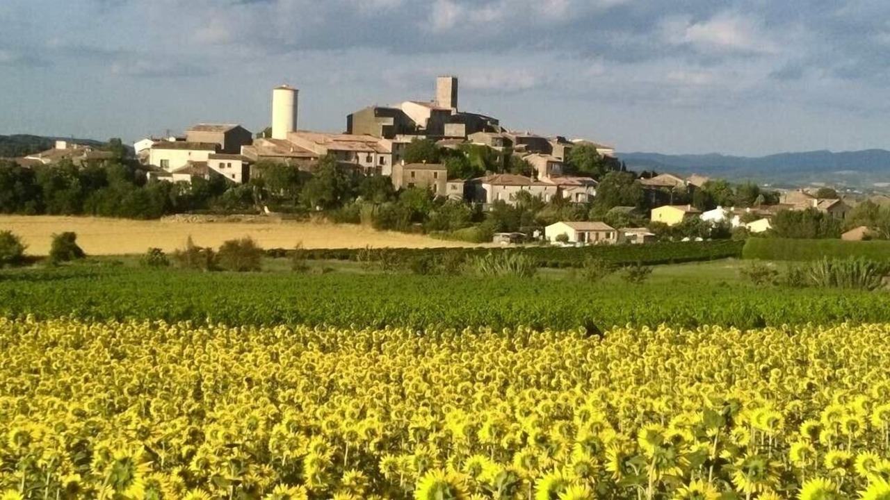 Photo of Outdoor in Villelongue-d'Aude