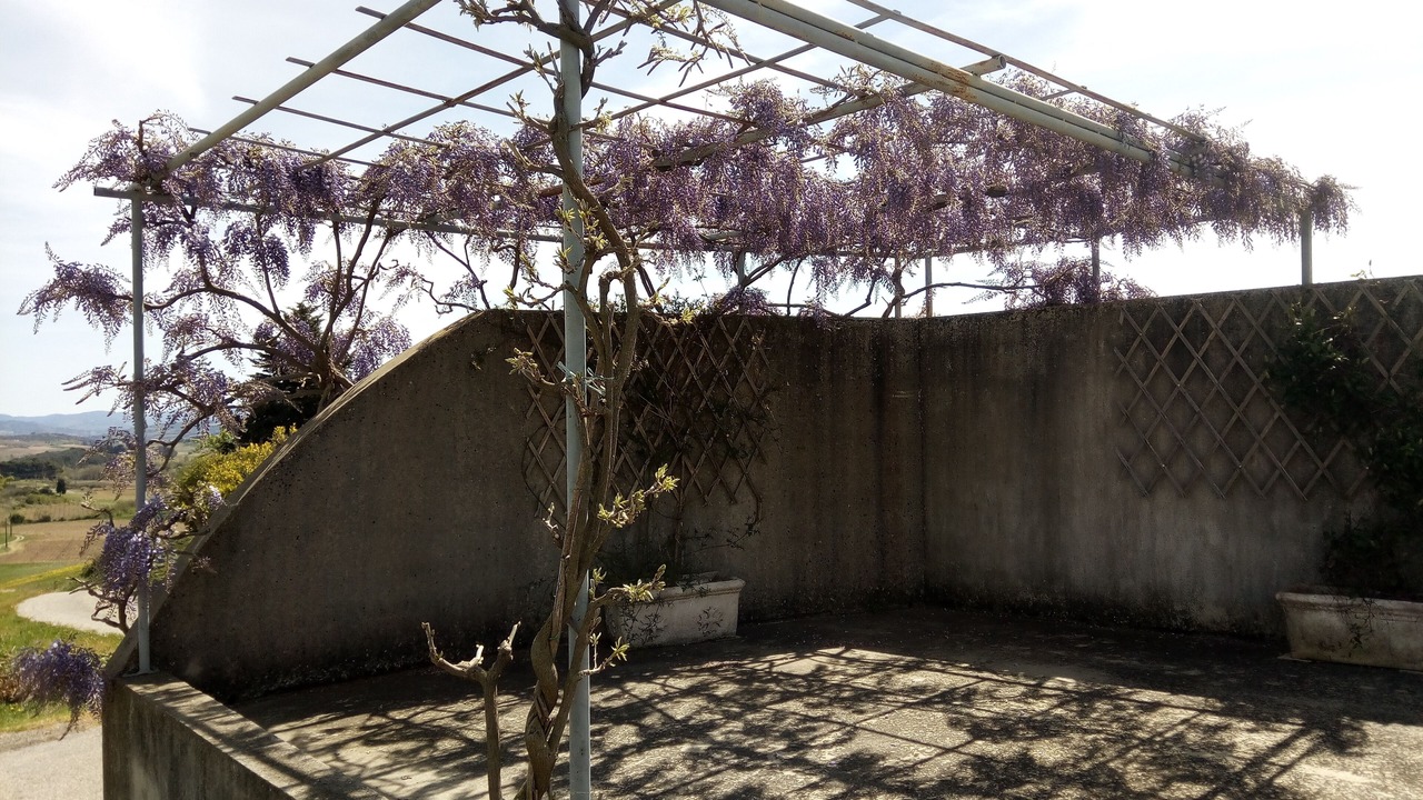 Photo of Outdoor in Villelongue-d'Aude