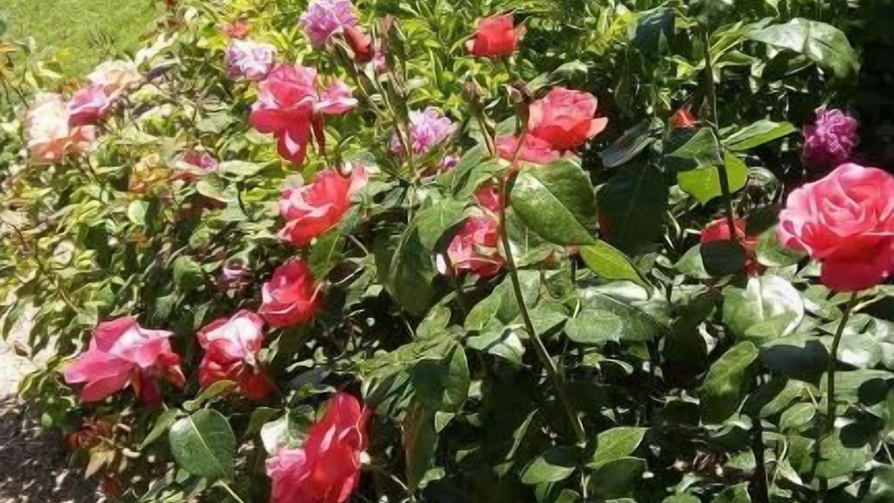 Photo of Outdoor in Villelongue-d'Aude