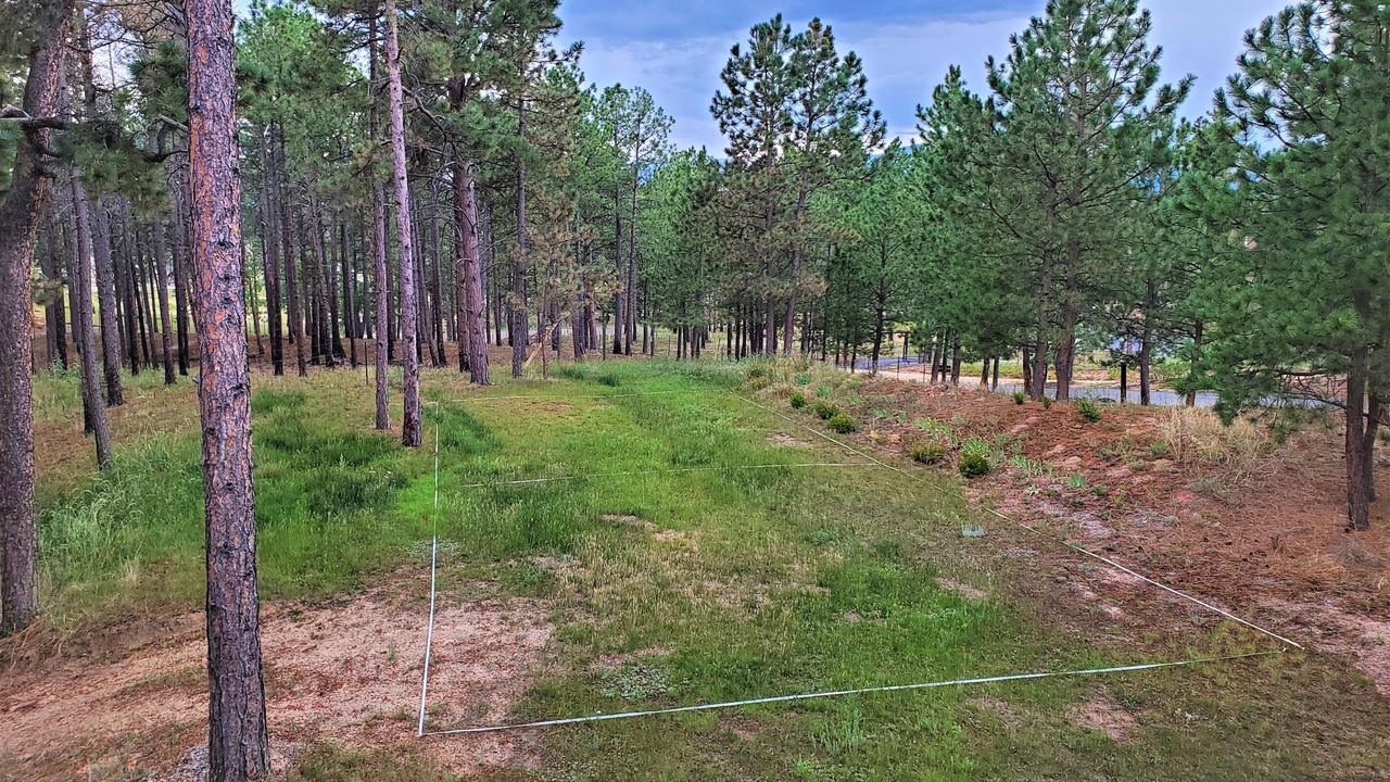 Photo of Outdoor in Colorado Springs