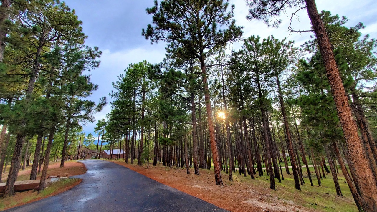 Photo of Outdoor in Colorado Springs