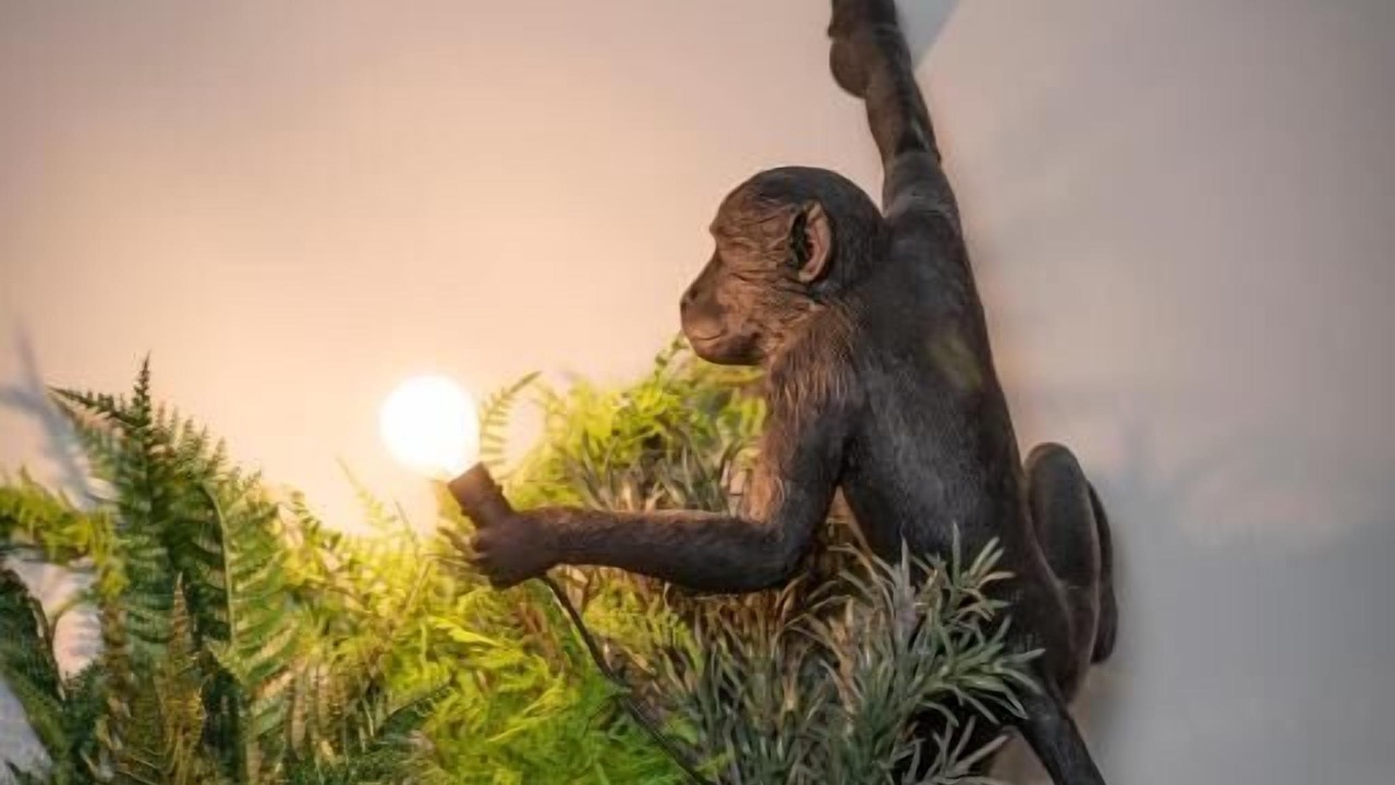 Photo of Others in Bicester