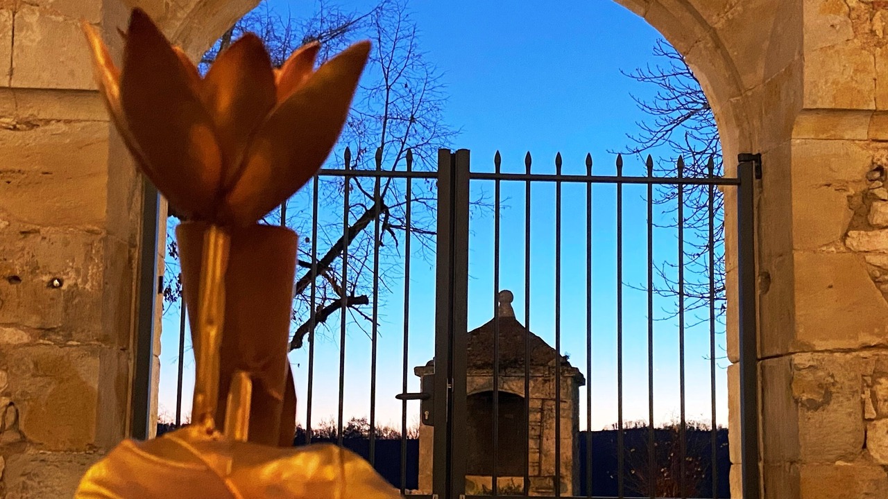 Photo of Outdoor in Lamillarie