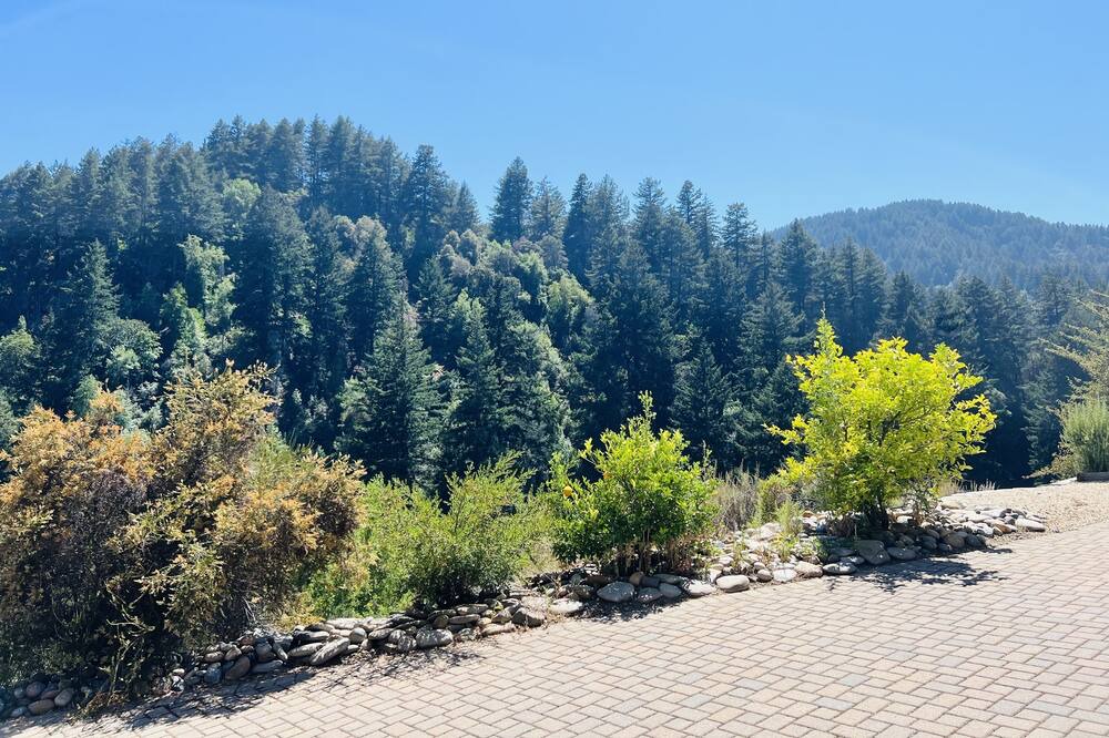 Photo of Others in Saratoga