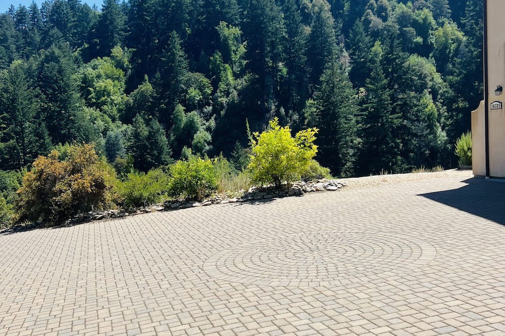 Photo of Others in Saratoga