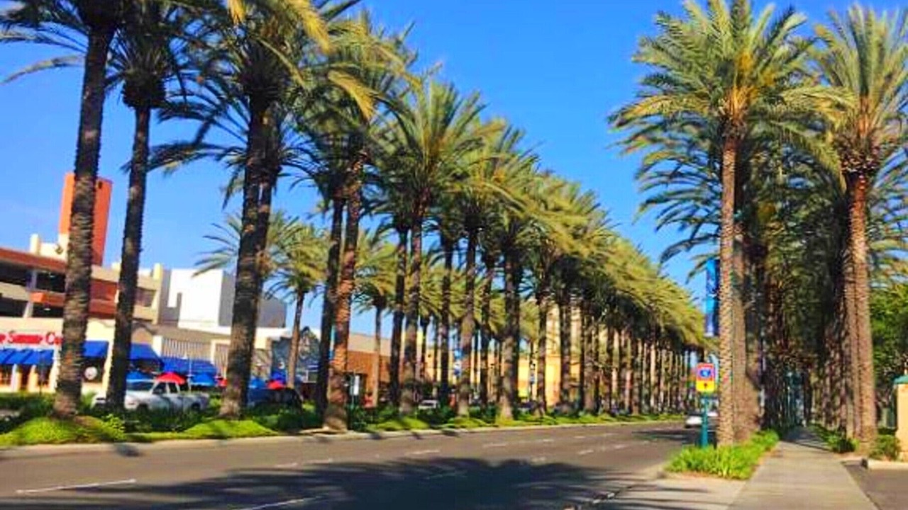 Photo of Outdoor in Anaheim Resort