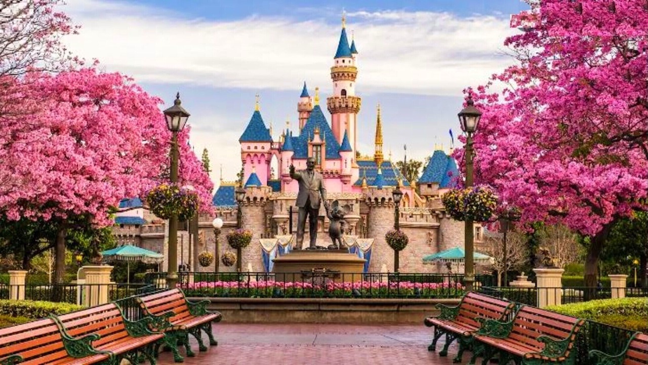 Photo of Outdoor in Anaheim Resort