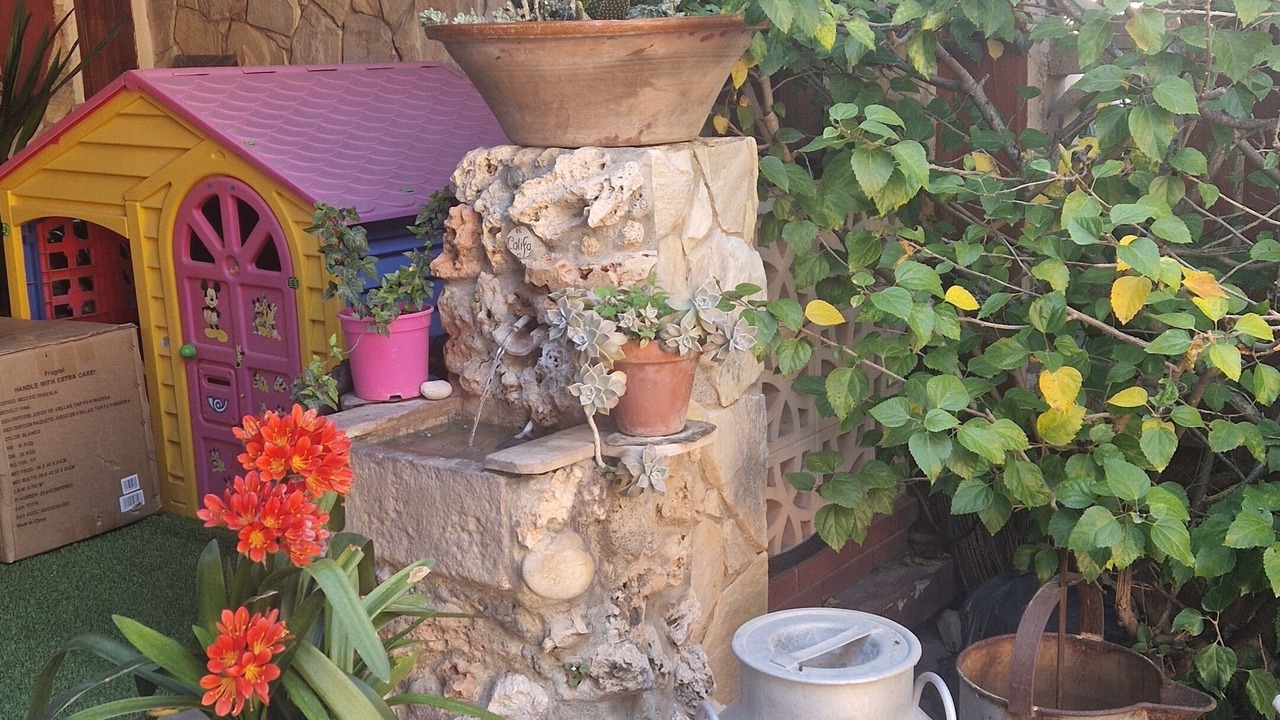 Photo of Outdoor in La Malva-rosa
